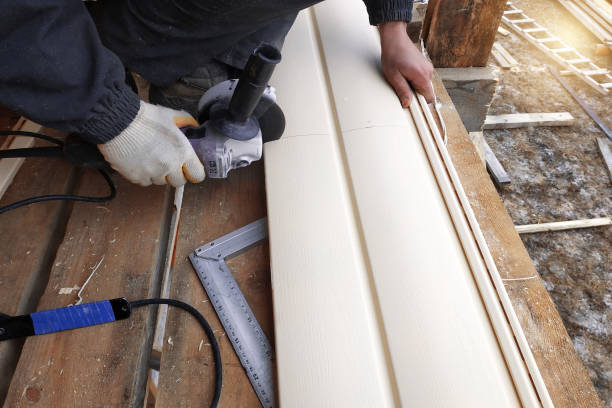 Best Siding Painting and Refinishing  in Brandon, MS
