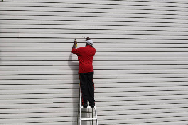 Best Siding Removal and Disposal  in Brandon, MS